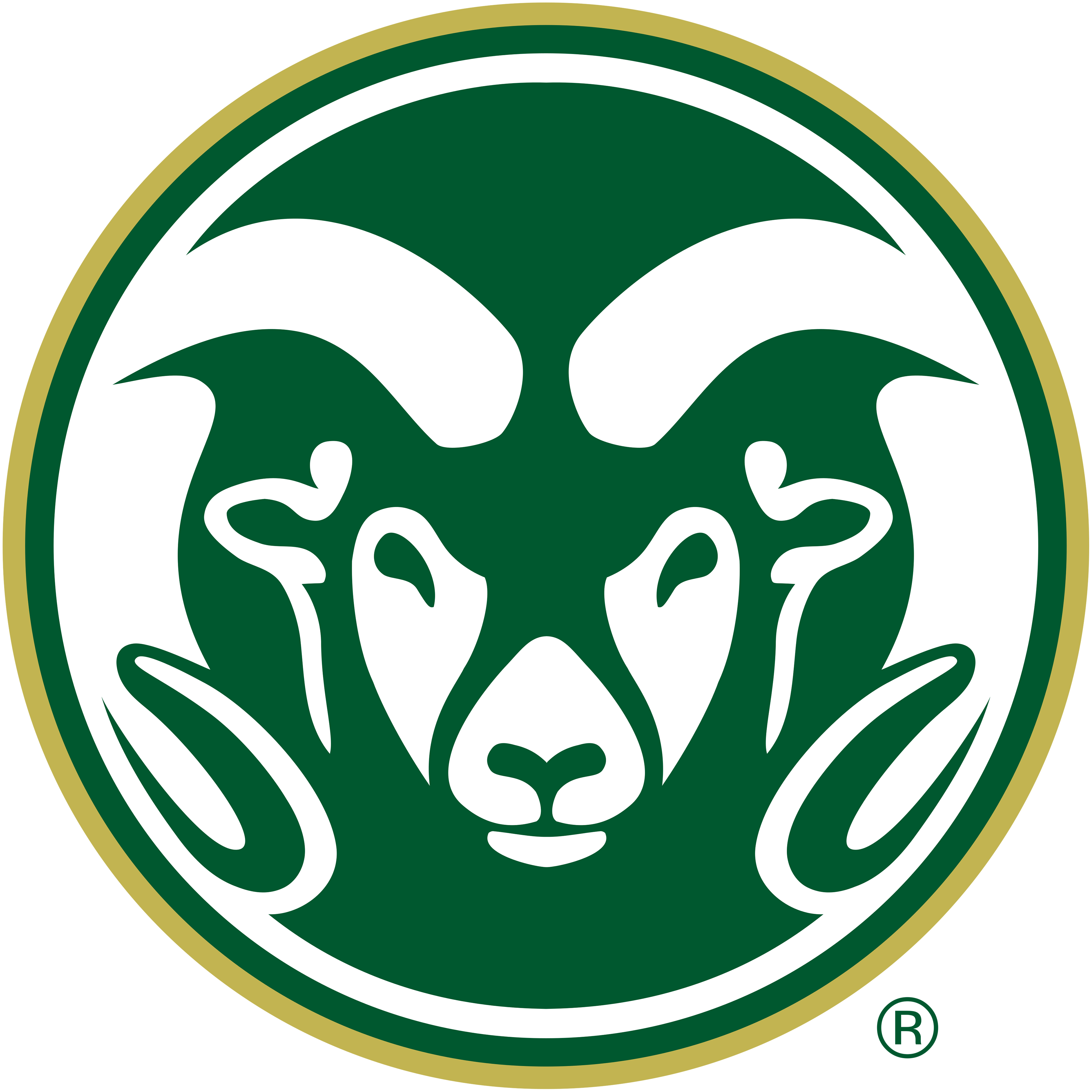 Colorado State University