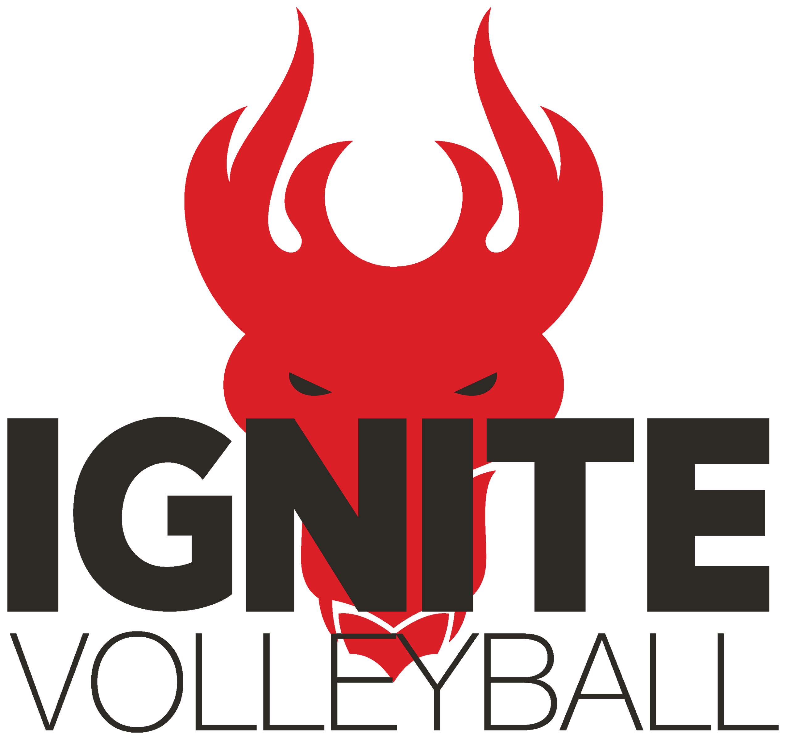 Ignite Volleyball Club